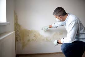 Best Mold Odor Removal Services  in Montague, CA